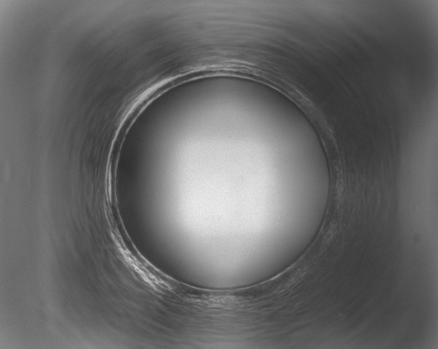 X0000086040940200703230850