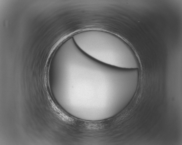 X0000086040941200703230850