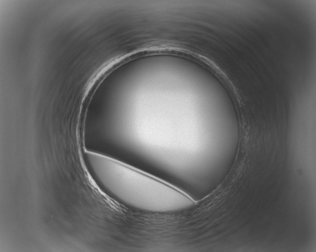 X0000086040943200703230850