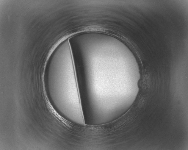 X0000086040947200703230850