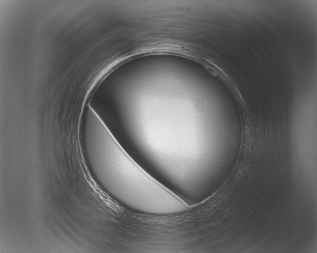 X0000086040948200703230850