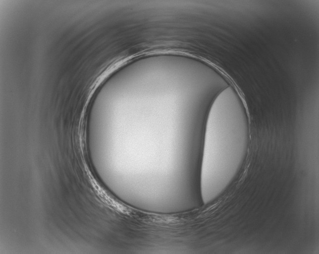 X0000086040957200703230851