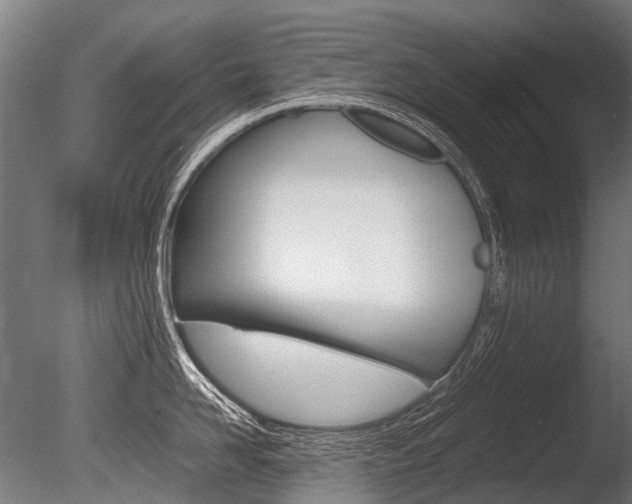 X0000086040958200703230851