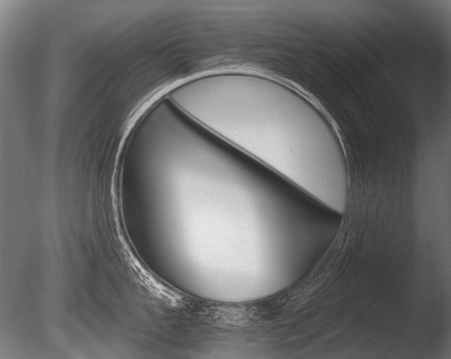 X0000086040959200703230851