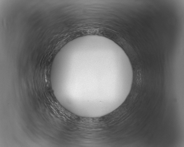 X0000086040962200703230850