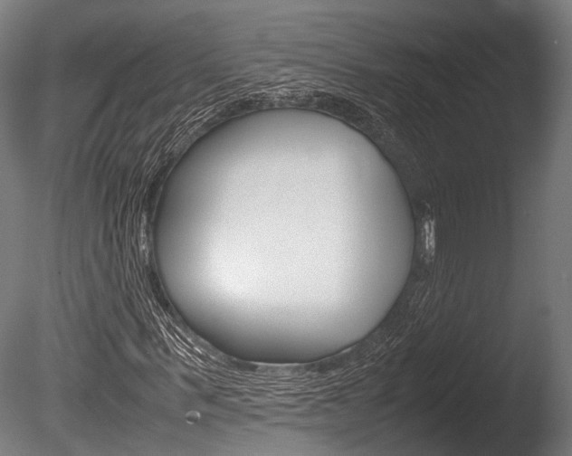 X0000086040963200703230850