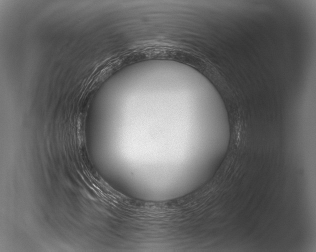 X0000086040964200703230850