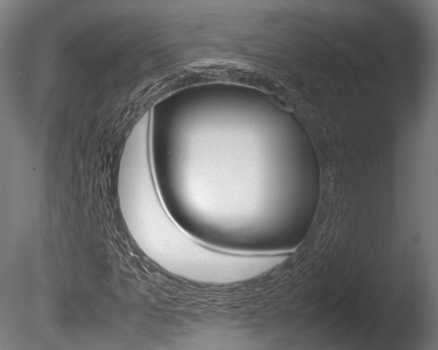 X0000086040965200703230850