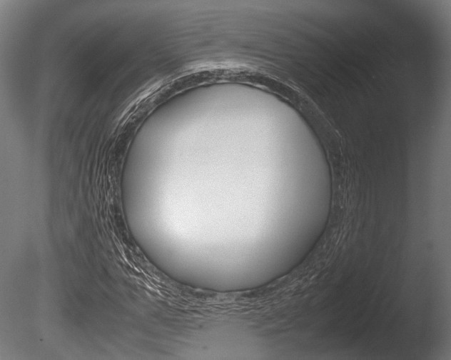 X0000086040967200703230850