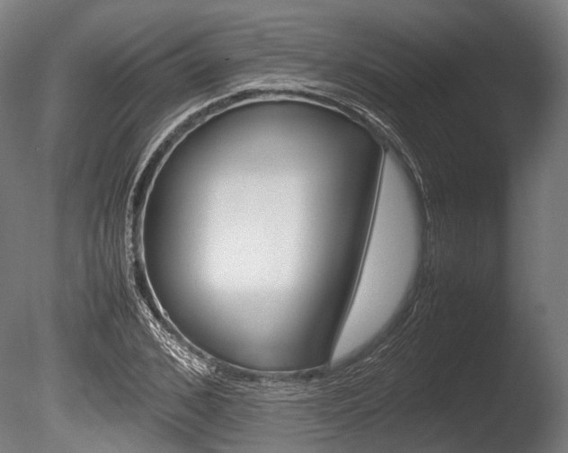 X0000086040976200703230850