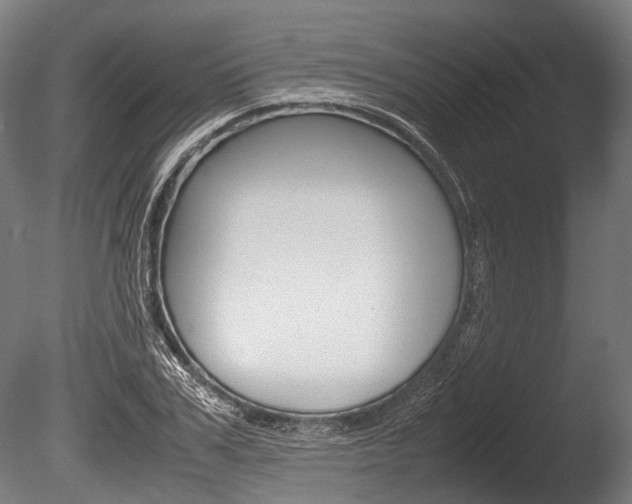X0000086040979200703230849