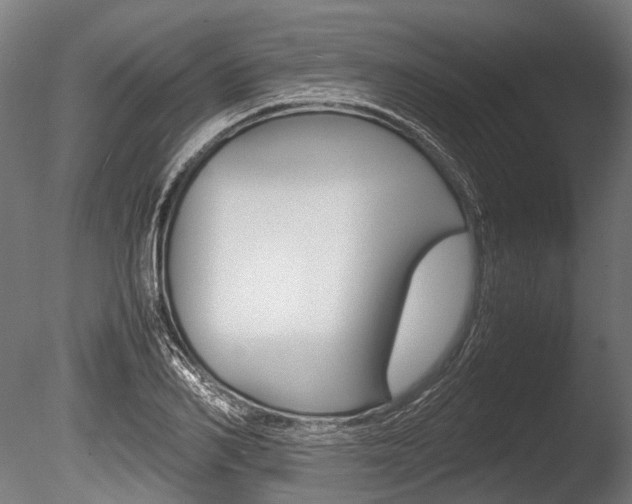 X0000086040982200703230849