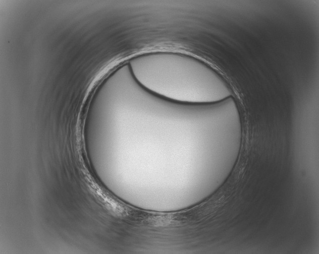 X0000086040990200703230849