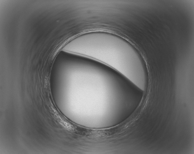 X0000086040993200703230849