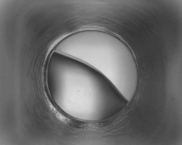 X0000086040995200703230849