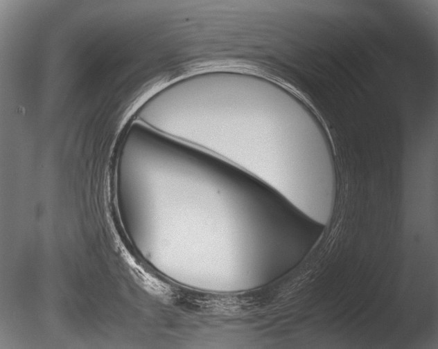 X0000086040999200703230849