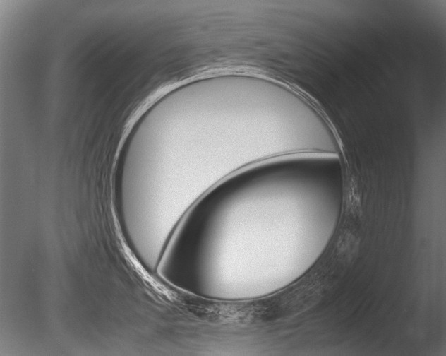 X0000086041005200703230849