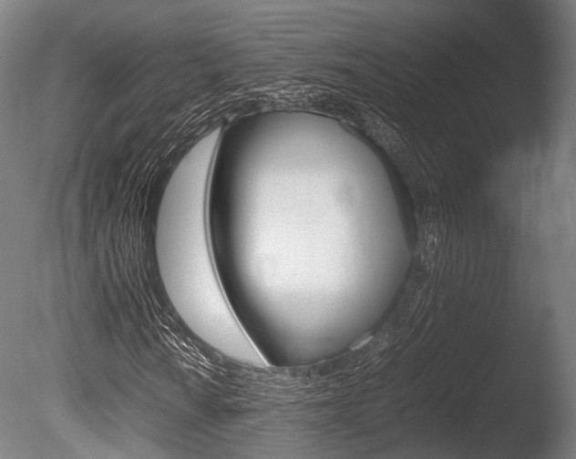 X0000086041010200703230848