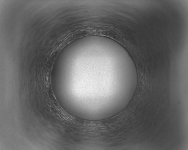 X0000086041013200703230848