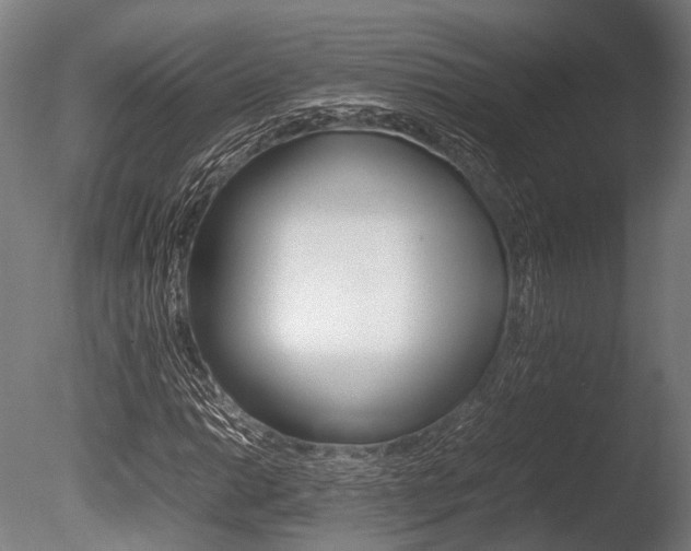 X0000086041014200703230848