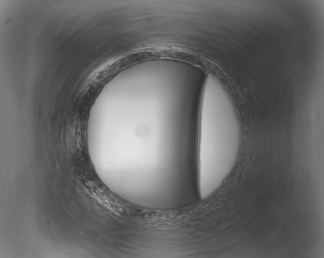 X0000086041016200703230848