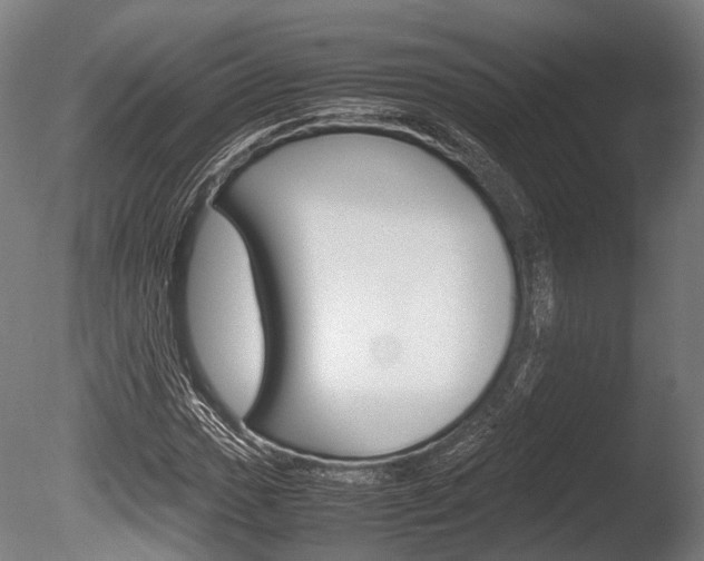 X0000086041017200703230848