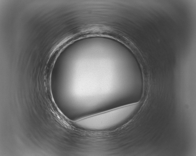 X0000086041018200703230848
