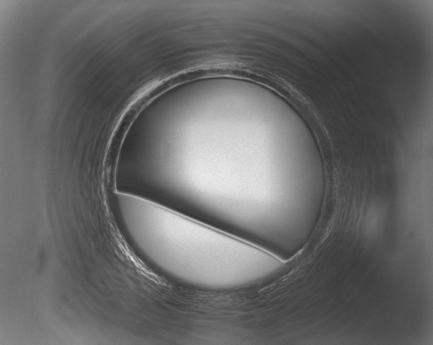 X0000086041029200703230848
