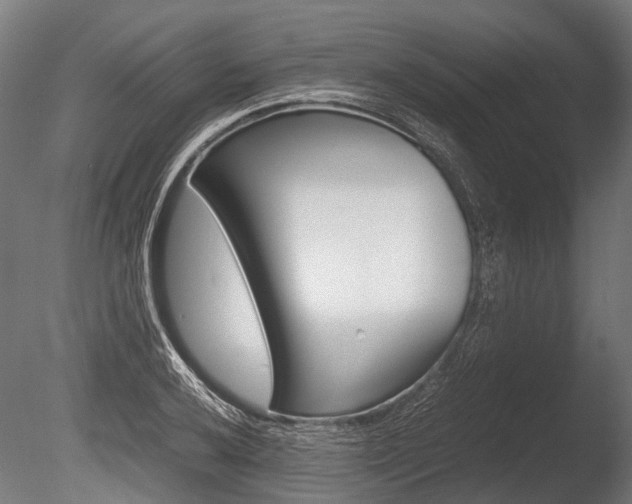 X0000086041032200703230849