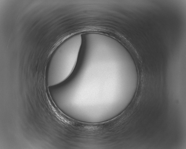 X0000086041033200703230849