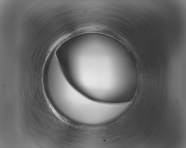 X0000086041034200703230849
