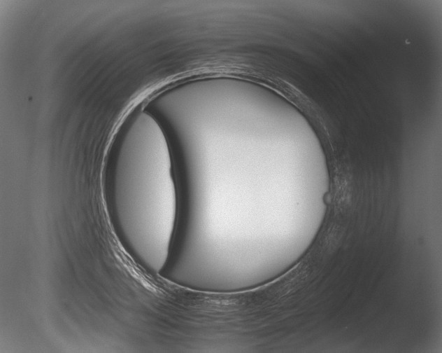 X0000086041035200703230849