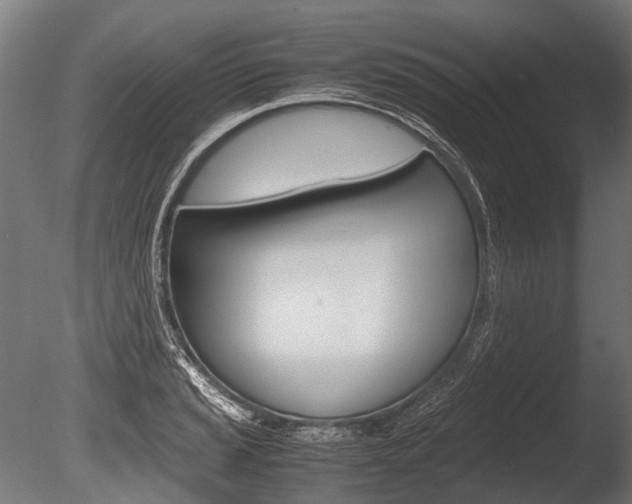 X0000086041037200703230849