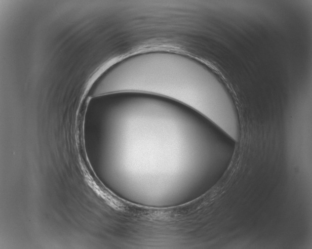 X0000086041038200703230849
