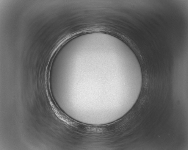 X0000086041039200703230849