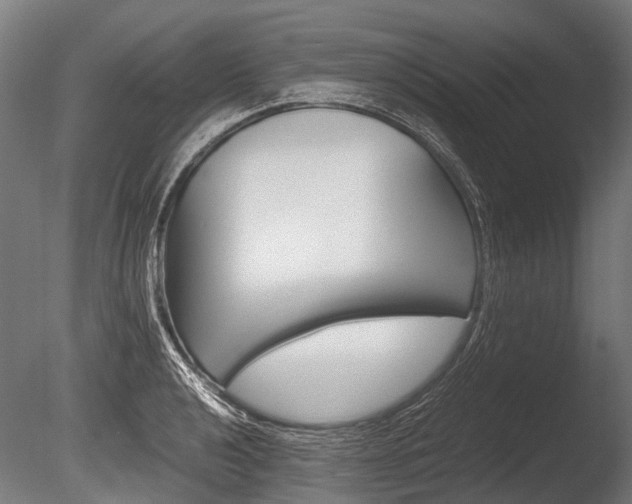 X0000086041040200703230849
