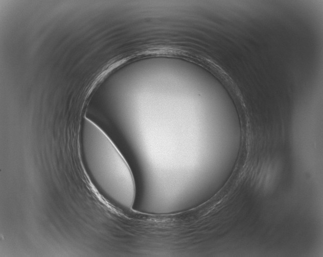 X0000086041041200703230849