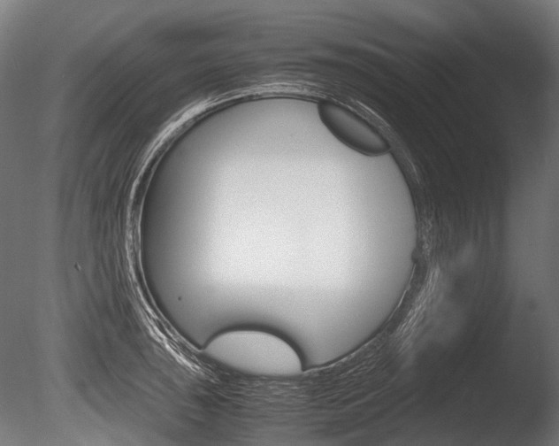 X0000086041043200703230849