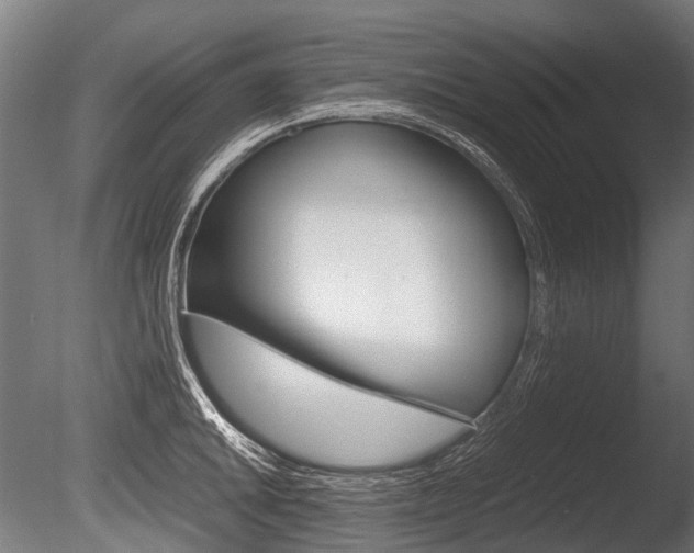 X0000086041046200703230849