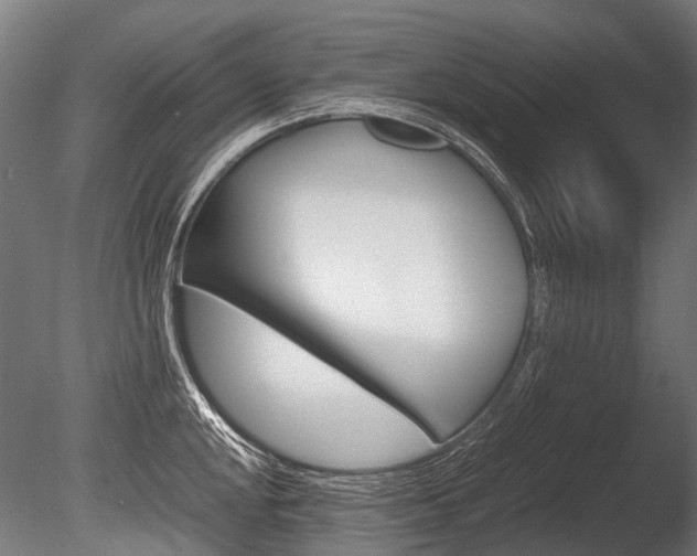 X0000086041048200703230849