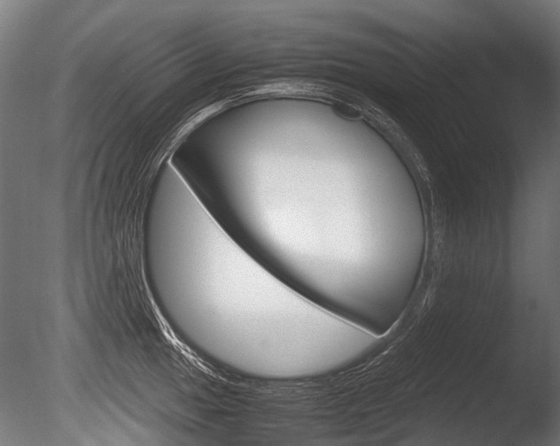 X0000086041049200703230849
