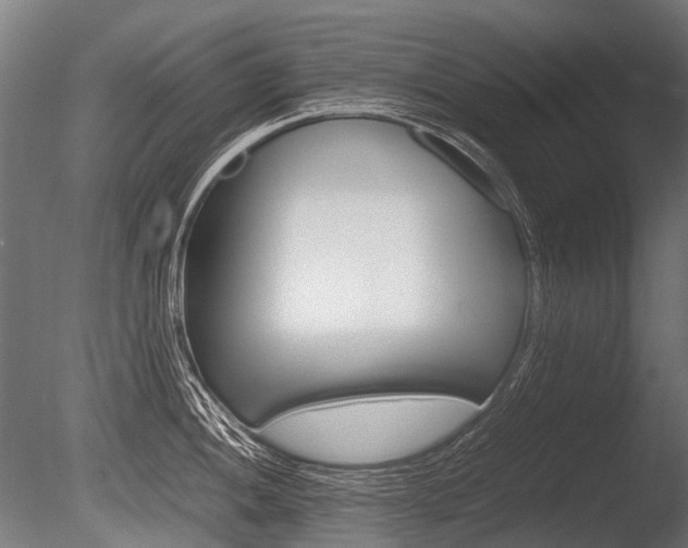X0000086041052200703230849