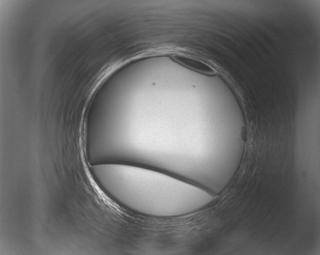 X0000086041055200703230849