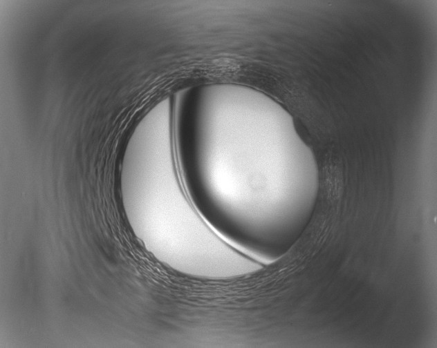 X0000086041057200703230848