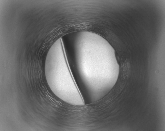 X0000086041058200703230848