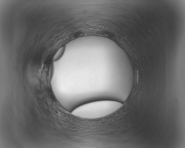 X0000086041059200703230848