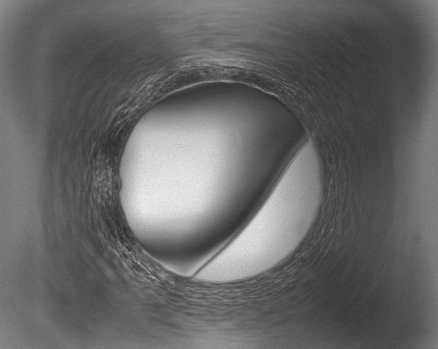 X0000086041061200703230848
