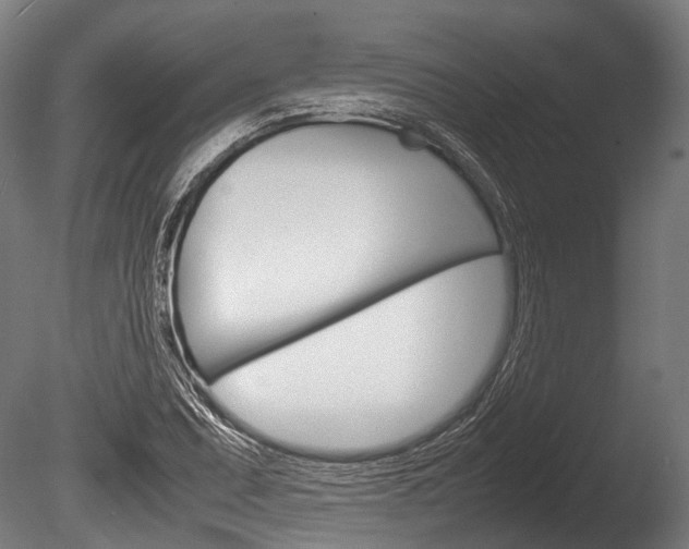 X0000086041071200703230848