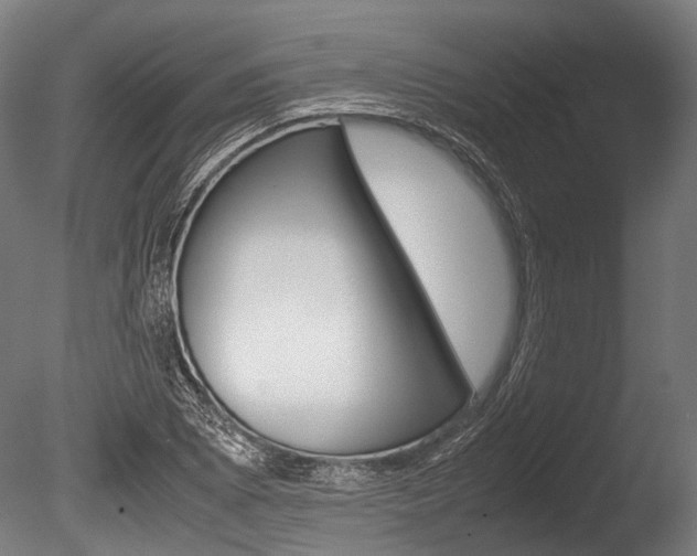 X0000086041073200703230848