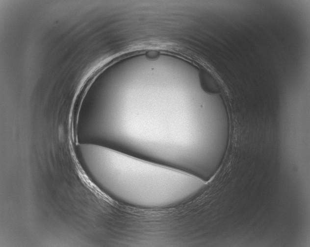 X0000086041080200703230848